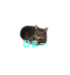 なーたろの1日（個別スタンプ：7）