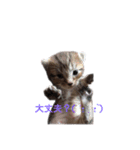 なーたろの1日（個別スタンプ：9）
