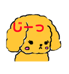 そぼくなわんこ トイプードルのぷぷちゃん（個別スタンプ：3）