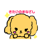そぼくなわんこ トイプードルのぷぷちゃん（個別スタンプ：13）