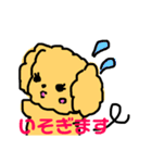 そぼくなわんこ トイプードルのぷぷちゃん（個別スタンプ：23）
