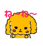 そぼくなわんこ トイプードルのぷぷちゃん（個別スタンプ：24）