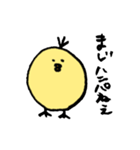 ひよこのダルビッシュ（個別スタンプ：1）