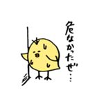 ひよこのダルビッシュ（個別スタンプ：8）
