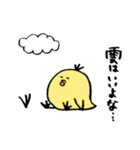 ひよこのダルビッシュ（個別スタンプ：9）