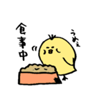 ひよこのダルビッシュ（個別スタンプ：13）