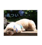 モモと一緒（個別スタンプ：3）