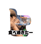 平井家専用（個別スタンプ：12）