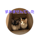 ねこちゃんの言葉(気持ち)（個別スタンプ：29）