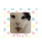 めへろんスタンプ（個別スタンプ：15）