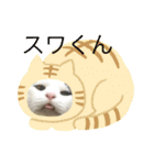 めへろんスタンプ（個別スタンプ：16）