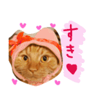 まろの毎日♡withパンちゃん（個別スタンプ：19）