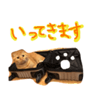 まろの毎日♡withパンちゃん（個別スタンプ：24）