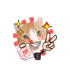 コスプレにゃんこ6（個別スタンプ：13）