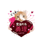コスプレにゃんこ6（個別スタンプ：39）