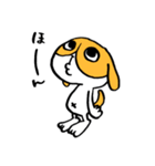 犬のハチワレ（個別スタンプ：4）