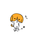犬のハチワレ（個別スタンプ：7）