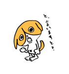 犬のハチワレ（個別スタンプ：9）