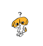 犬のハチワレ（個別スタンプ：10）