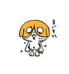 犬のハチワレ（個別スタンプ：11）