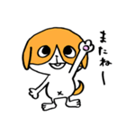 犬のハチワレ（個別スタンプ：12）