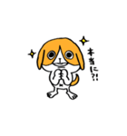 犬のハチワレ（個別スタンプ：13）