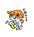犬のハチワレ（個別スタンプ：14）