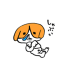 犬のハチワレ（個別スタンプ：15）