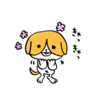 犬のハチワレ（個別スタンプ：16）