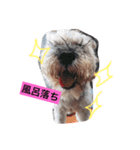 大好き小次郎さん（個別スタンプ：3）