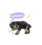 もへじstamp❁︎（個別スタンプ：2）
