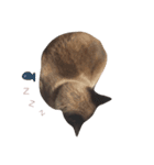 ぽべ（個別スタンプ：3）