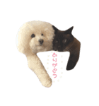 ぽべ（個別スタンプ：6）