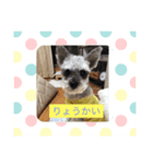 あいさん2（個別スタンプ：8）