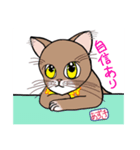 あずきちゃんとまっちゃくん（個別スタンプ：3）