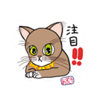 あずきちゃんとまっちゃくん（個別スタンプ：4）