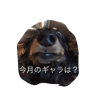 ももまろ（個別スタンプ：2）