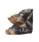 ももまろ（個別スタンプ：3）