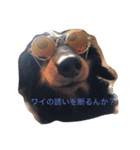 ももまろ（個別スタンプ：4）