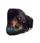 ももまろ（個別スタンプ：6）
