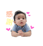 ！ぽんちゃんスタンプ（個別スタンプ：1）