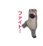 ぽにょこの日常（個別スタンプ：3）