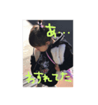 ぽにょこの日常（個別スタンプ：7）