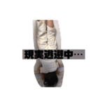 ぽにょこの日常（個別スタンプ：10）