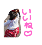 ぽにょこの日常（個別スタンプ：13）