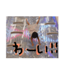 ぽにょこの日常（個別スタンプ：14）