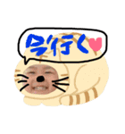 りく様（個別スタンプ：3）