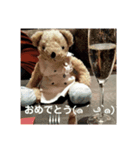 くまさん-（個別スタンプ：1）