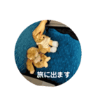 くまさん-（個別スタンプ：8）