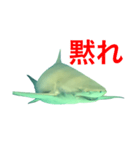 性格の悪いサメ君スタンプ（個別スタンプ：11）